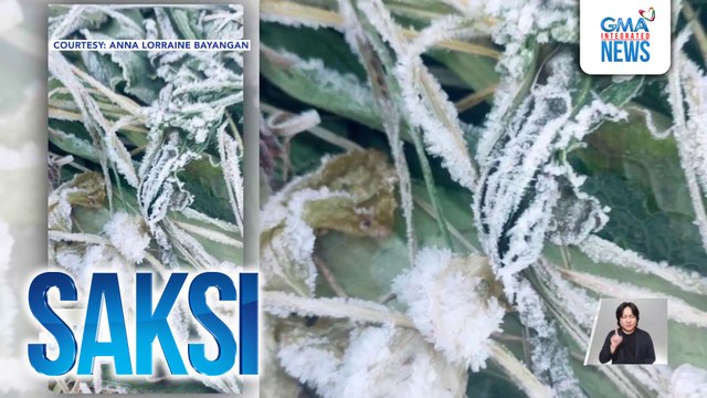 Ilang pananim sa Benguet, nabalot ng andap | Saksi