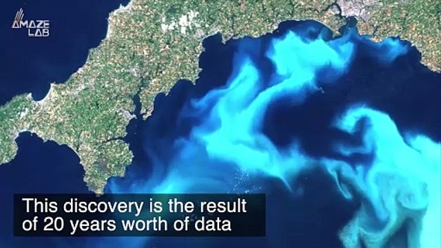 Are Our Blue Oceans Actually Turning Green? Scientists Outline Why This Is Happening