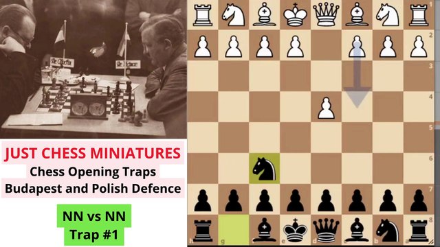 Chess Opening Traps. Budapest and Polish Defence
