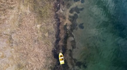 Yağışlar etkisini gösterdi, Sapanca'da su seviyesi arttı