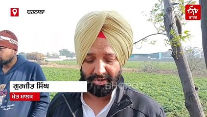 ਬਰਨਾਲਾ ਦੇ ਖੇਤਾਂ ਵਿੱਚ ਮਿਲੀ ਅਣਪਛਾਤੇ ਵਿਅਕਤੀਆਂ ਦੀ ਡੈਡਬਾਡੀ, ਪੁਲਿਸ ਜਾਂਚ ਵਿੱਚ ਜੁਟੀ