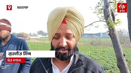ਬਰਨਾਲਾ ਦੇ ਖੇਤਾਂ ਵਿੱਚ ਮਿਲੀ ਅਣਪਛਾਤੇ ਵਿਅਕਤੀਆਂ ਦੀ ਡੈਡਬਾਡੀ, ਪੁਲਿਸ ਜਾਂਚ ਵਿੱਚ ਜੁਟੀ
