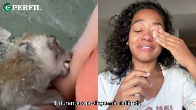 Influenciadora mordida por macaco no retorno ao Brasil gera polêmica familiar e reações na web
