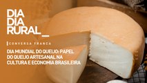 Dia mundial do queijo: papel do queijo artesanal na cultura e economia brasileira