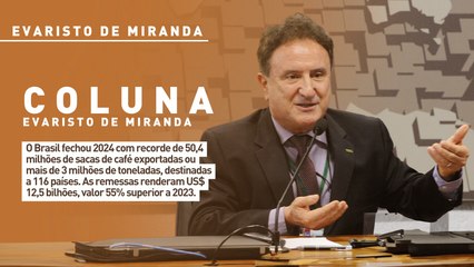 O Brasil fechou 2024 com recorde de 50,4 milhões de sacas de café exportadas a 116 países