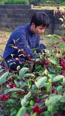 Artesanos tradicionales japoneses