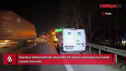Otoyolda feci ölüm! Çok sayıda araç çarparak parçaladı! Kimliği belli oldu