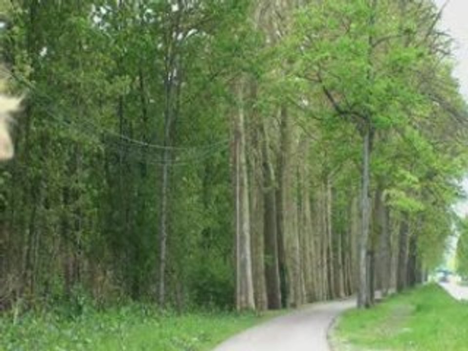 Bérégovoy, quinze ans après sa mort