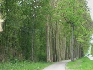 Bérégovoy, quinze ans après sa mort