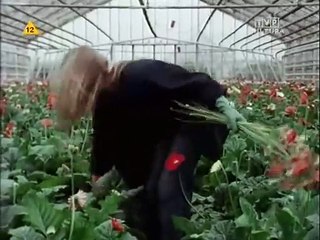 Dźwig (1976) - film polski