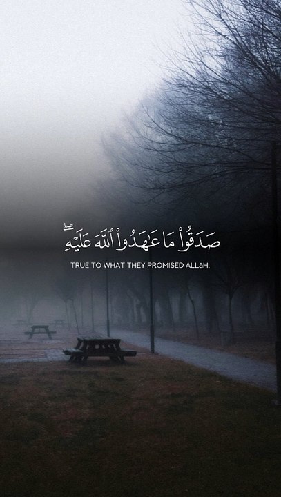 ابداع بدر التركي