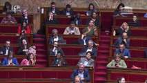 Assemblée nationale, anatomie d'une crise