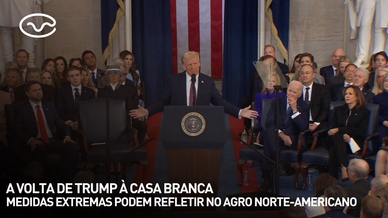 A volta de Trump à Casa Branca: medidas extremas podem refletir no agro norte-americano