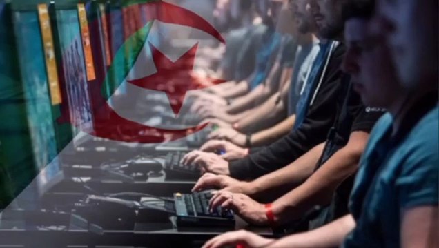 Algerian Trolls Farms