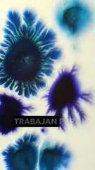 subtitulos instagram video terapia 200 regalos