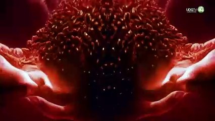 Tool promete un concierto inmersivo y de juegos visuales en su próxima visita a Guadalajara