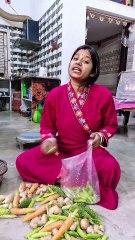 Duniya Ki Sari Alsi Log || Comedy || Funny