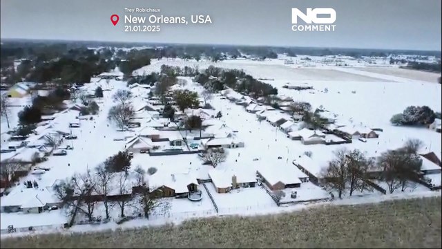 Bataille de boules de neige sur la côte du Golfe du Mexique aux États-Unis