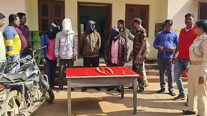 ରାଜ୍ୟ ବାହାରକୁ ଚାଲାଣ ବେଳେ ୨ ହାତୀ ଦାନ୍ତ ଜବତ   ୪ଜଣ ଗିରଫ, ଆନ୍ତଃରାଜ୍ୟ ଅପରାଧୀ ସାମିଲ