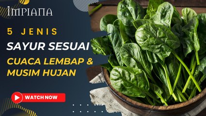 5 Jenis Sayur Sesuai Cuaca Lembap & Musim Hujan
