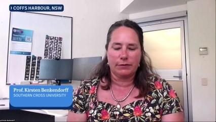 Scientists suggest oyster ‘blood’ can improve efficacy of antibiotics