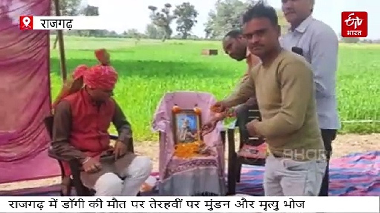 23367989 अजब गजब एमपी,राजगढ़ में कुत्ते की मौत का इतना गम की तेरहवीं पर मुंडन और मृत्यु भोज,जिसमे जुटे हजार लोग