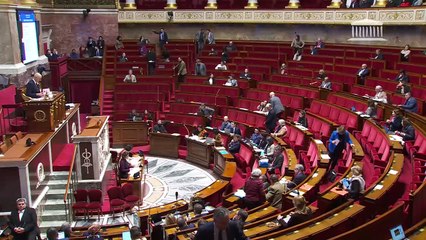 2ème séance : Urgence pour Mayotte (suite)    - Lundi 20 janvier 2025