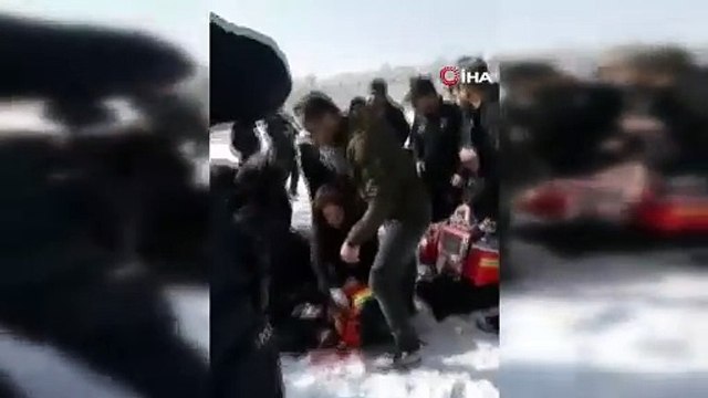 Bir başıboş köpek faciası daha!