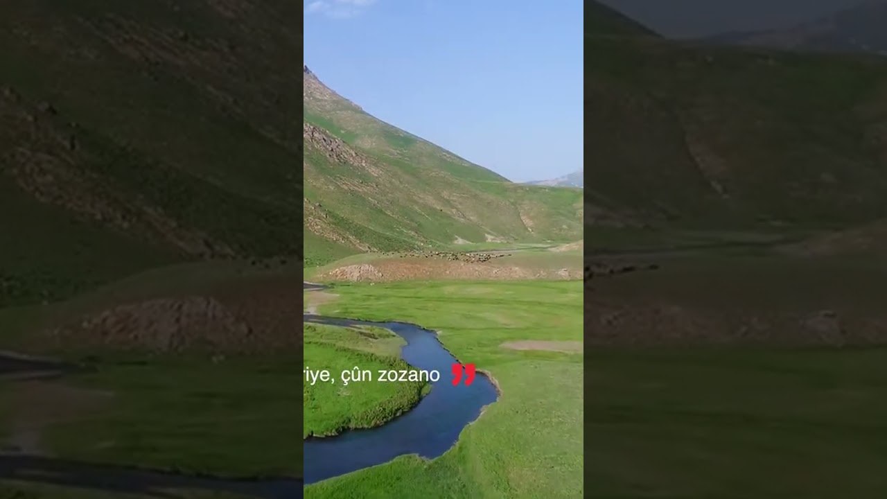 Îro Dîsa - Zozane Feraşine #shorts