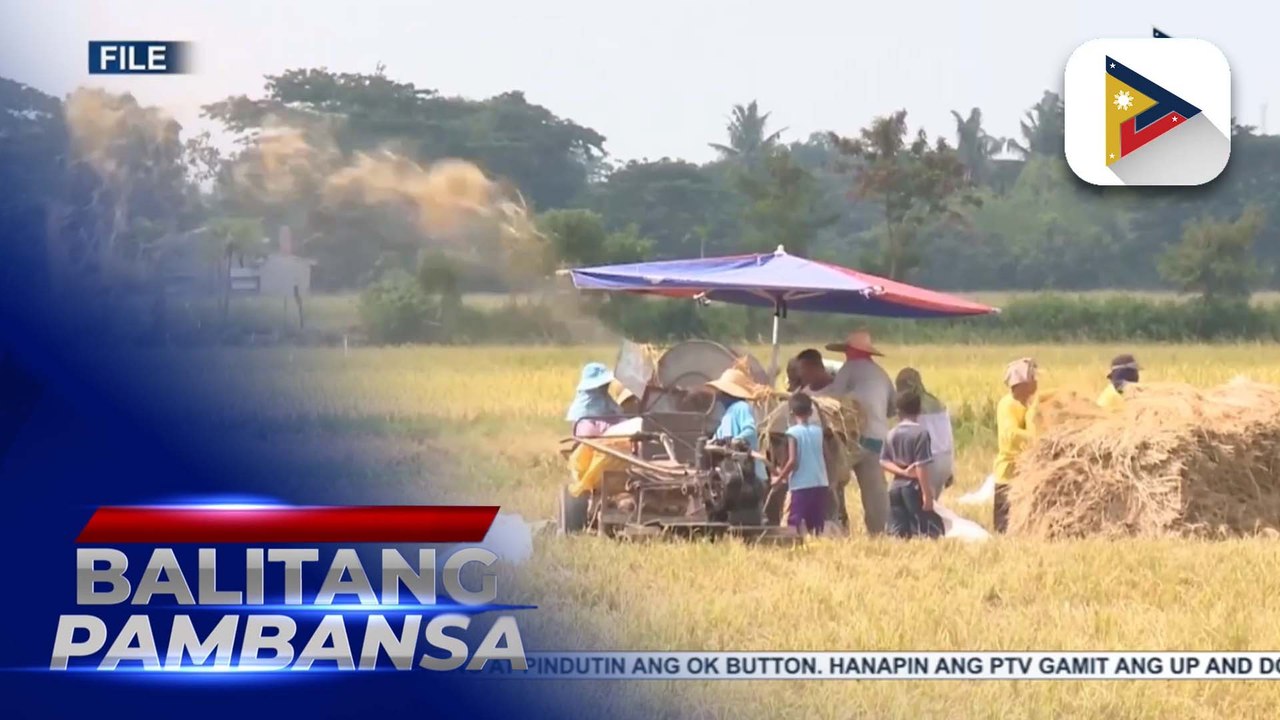 Paglilipat ng cropping calendar, nakikitang solusyon ng NIA para mapataas ang produksyon ng bigas sa bansa ngayon taon
