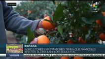 Agricultores españoles temen que aranceles afecten el precio de sus productos