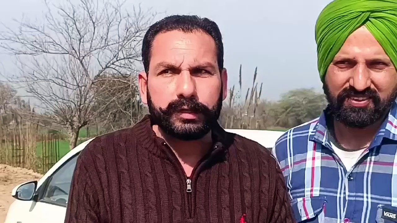 ਅਵਾਰਾ ਕੁੱਤਿਆਂ ਦੇ ਕੱਟਣ ਨਾਲ ਰੋਜਾਨਾ ਹੀ 20 ਤੋਂ 25 ਕ...