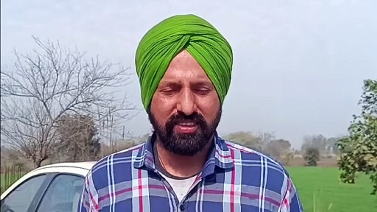 ਅਵਾਰਾ ਕੁੱਤਿਆਂ ਦੇ ਕੱਟਣ ਨਾਲ ਰੋਜਾਨਾ ਹੀ 20 ਤੋਂ 25 ਕ...