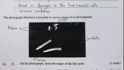 KCSE 2017 Biology paper 1 _Questions and answers for revision_ Know your Biology