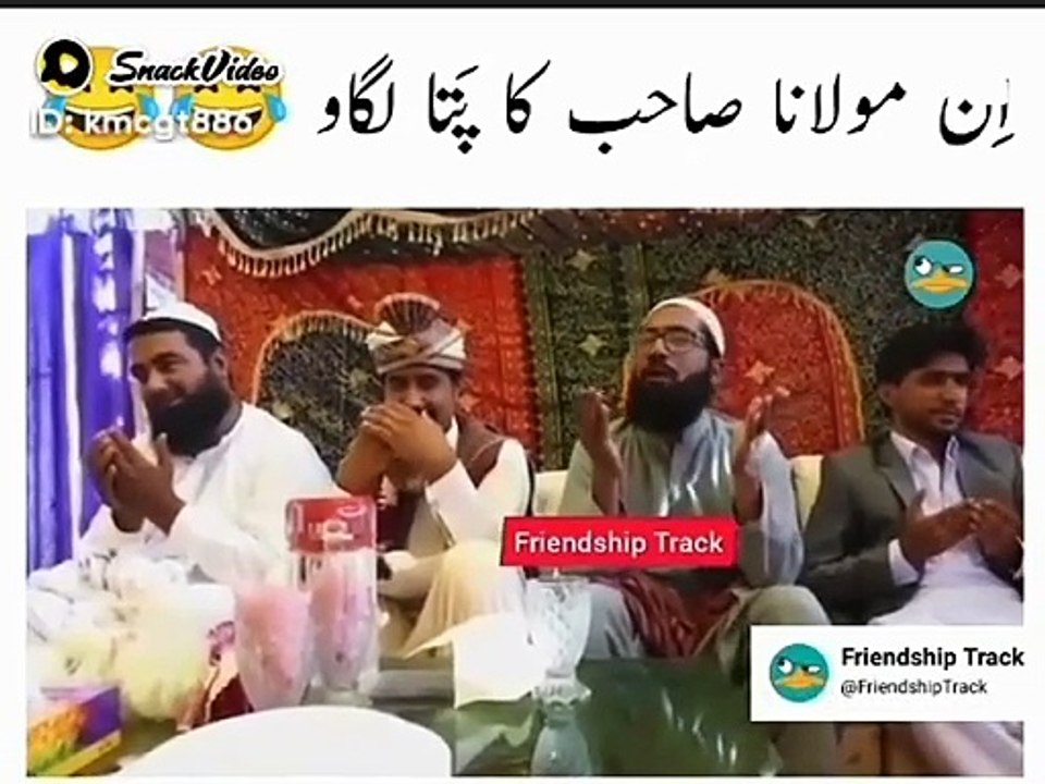 Funny molve sab