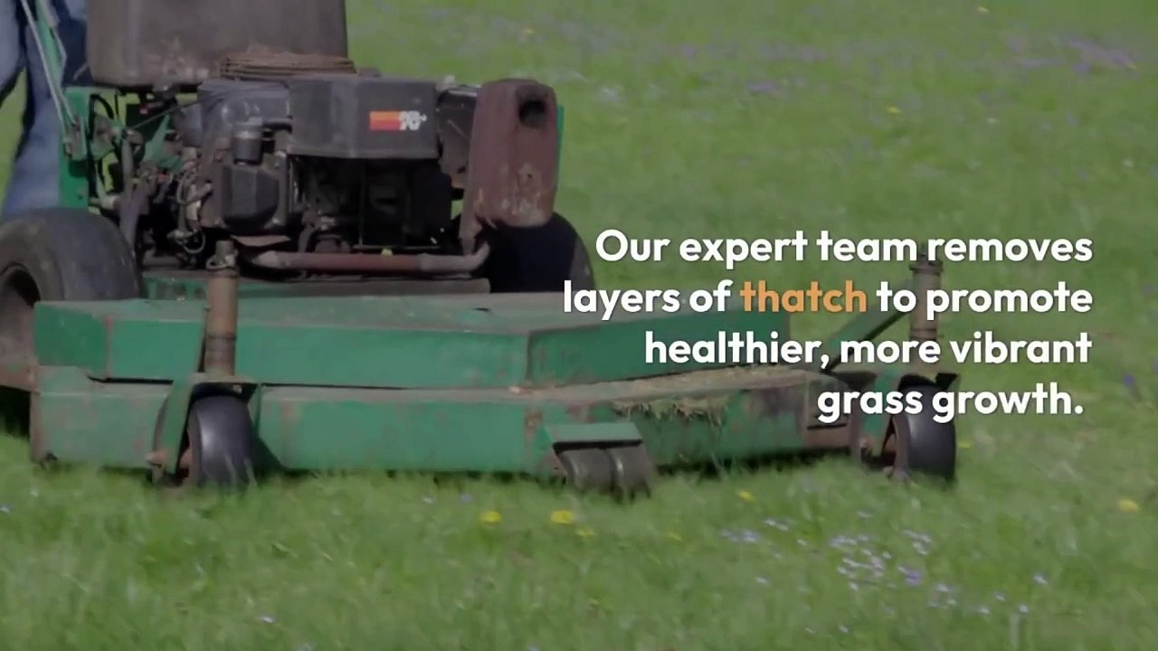 lawn dethatching service