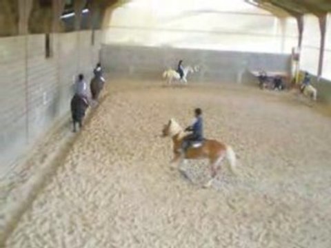 galop chevaux