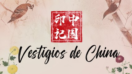 Vestigios de China 01: Jardines