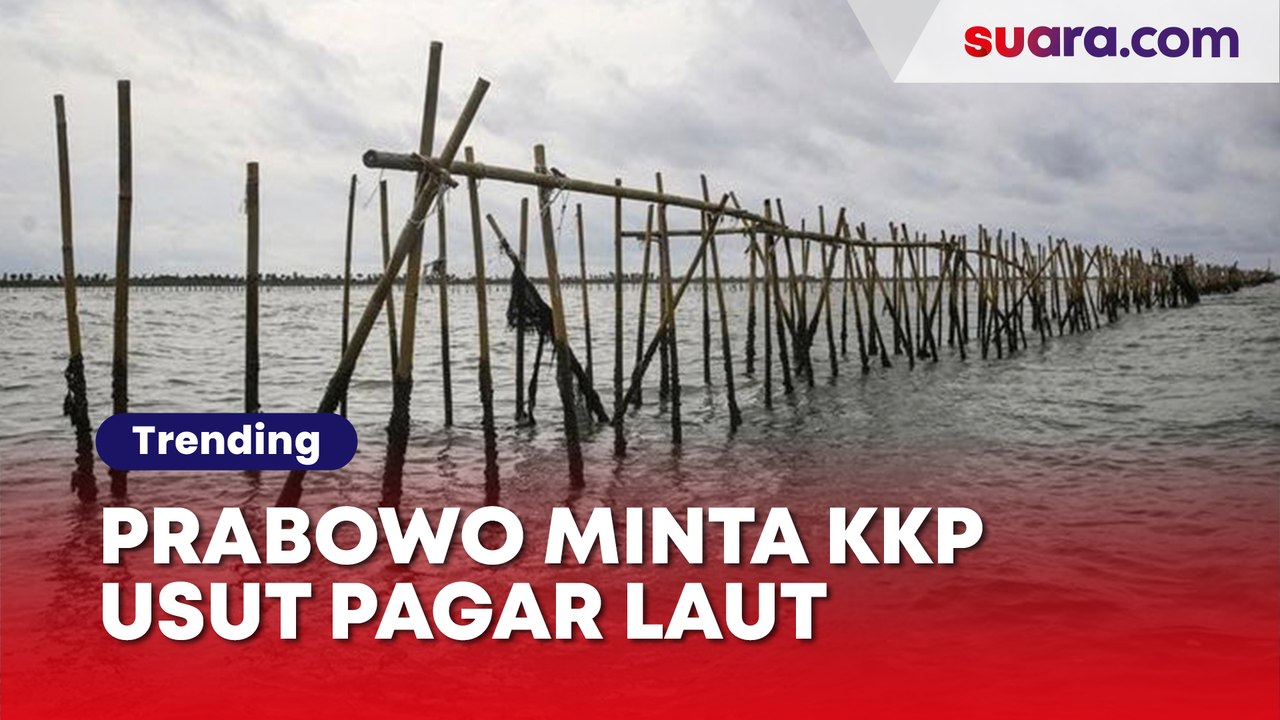 Prabowo Minta Menteri KKP Usut Biang Keladi Pagar Laut Tangerang, Sertifikat Dasar Laut Ilegal Terkuak!