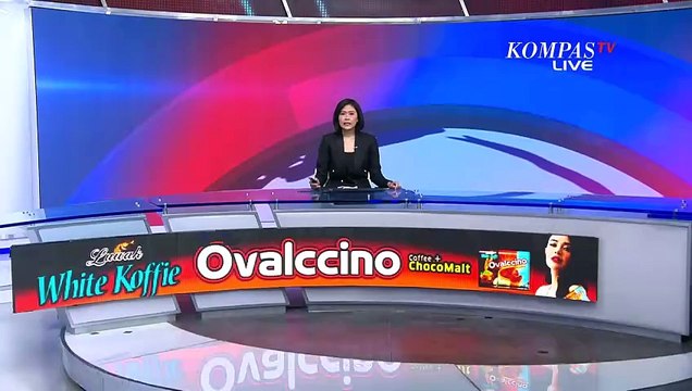 Cari 2 Asisten Pelatih Lokal Pendamping Kluivert, PSSI Seleksi Ketat 10 Kandidat