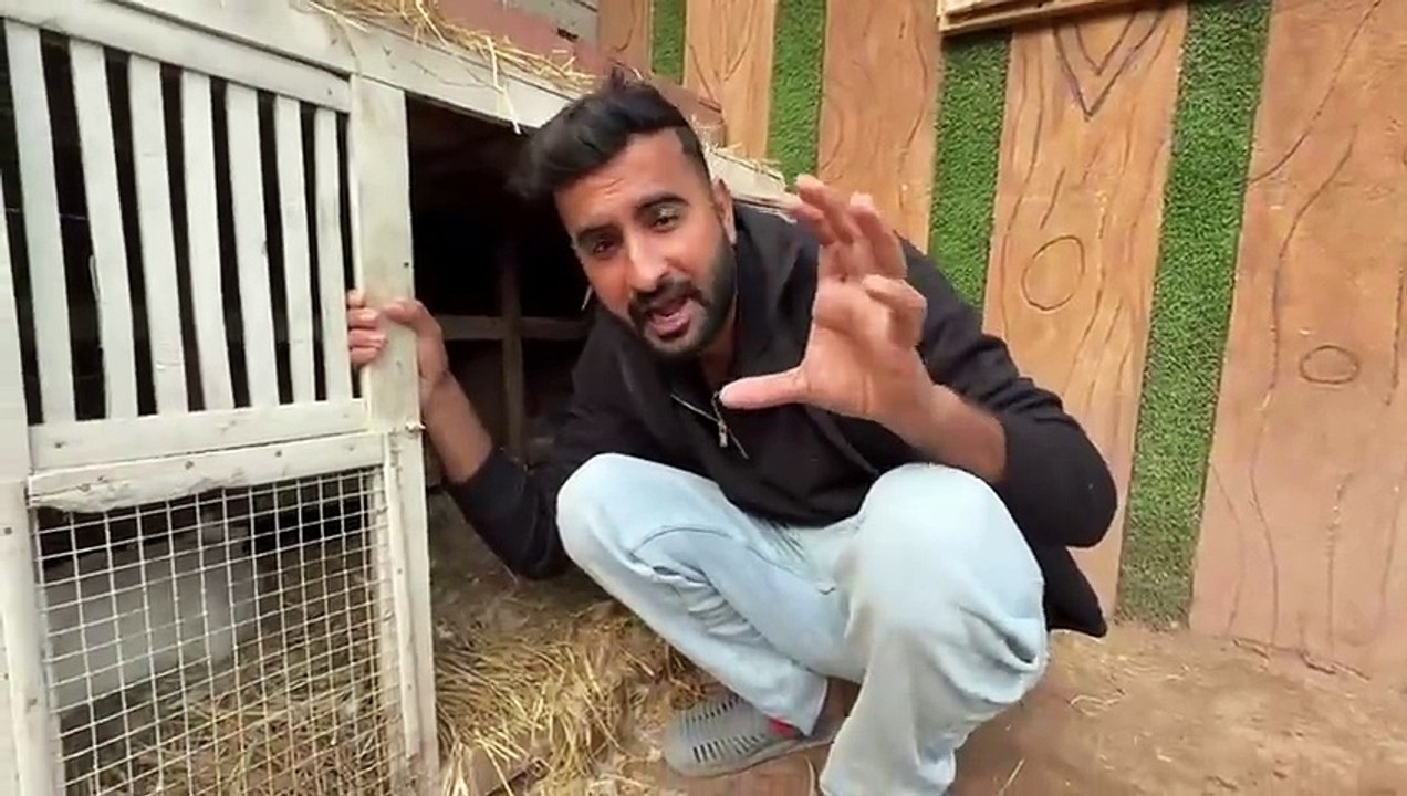 shehar mein dehat ep 133 2025 animal mini zoo Finally Big Ducks K baby Agaiy So Cute