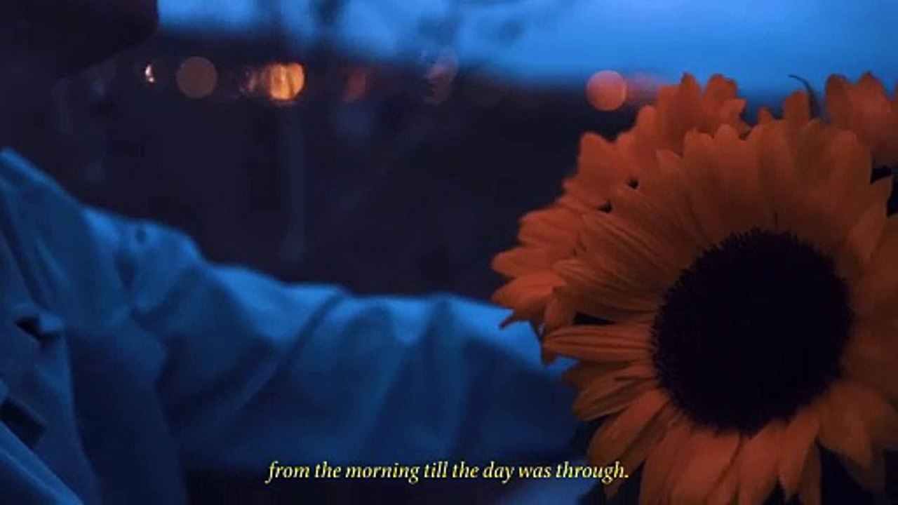 y2mate.com - Miller Blue  Sunflower Visual_v720P