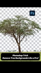how to remove tree background on dailymotion #photoshop #tricks