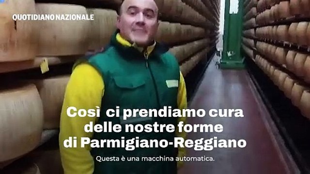 Cos? ci prendiamo cura delle nostre forme di Parmigiano-Reggiano