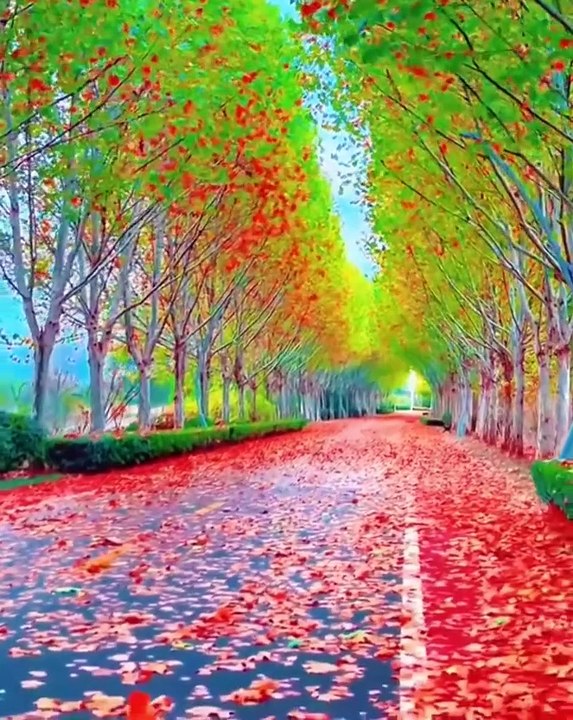 மனிதன் என்ற போர்வையில் மிருகம் வாழும் நாட்டிலே TMS LEGEND M.THIRAVIDA SELVAN SINGAPORE TMS FANS