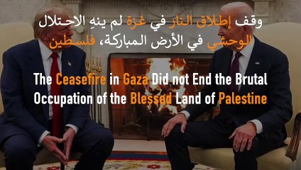 وقف إطلاق النار في غزة لم ينهِ الاحتلال الوحشي في الأرض المباركة، فلسطين