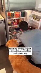 I made a BIG dog training mistake 😬