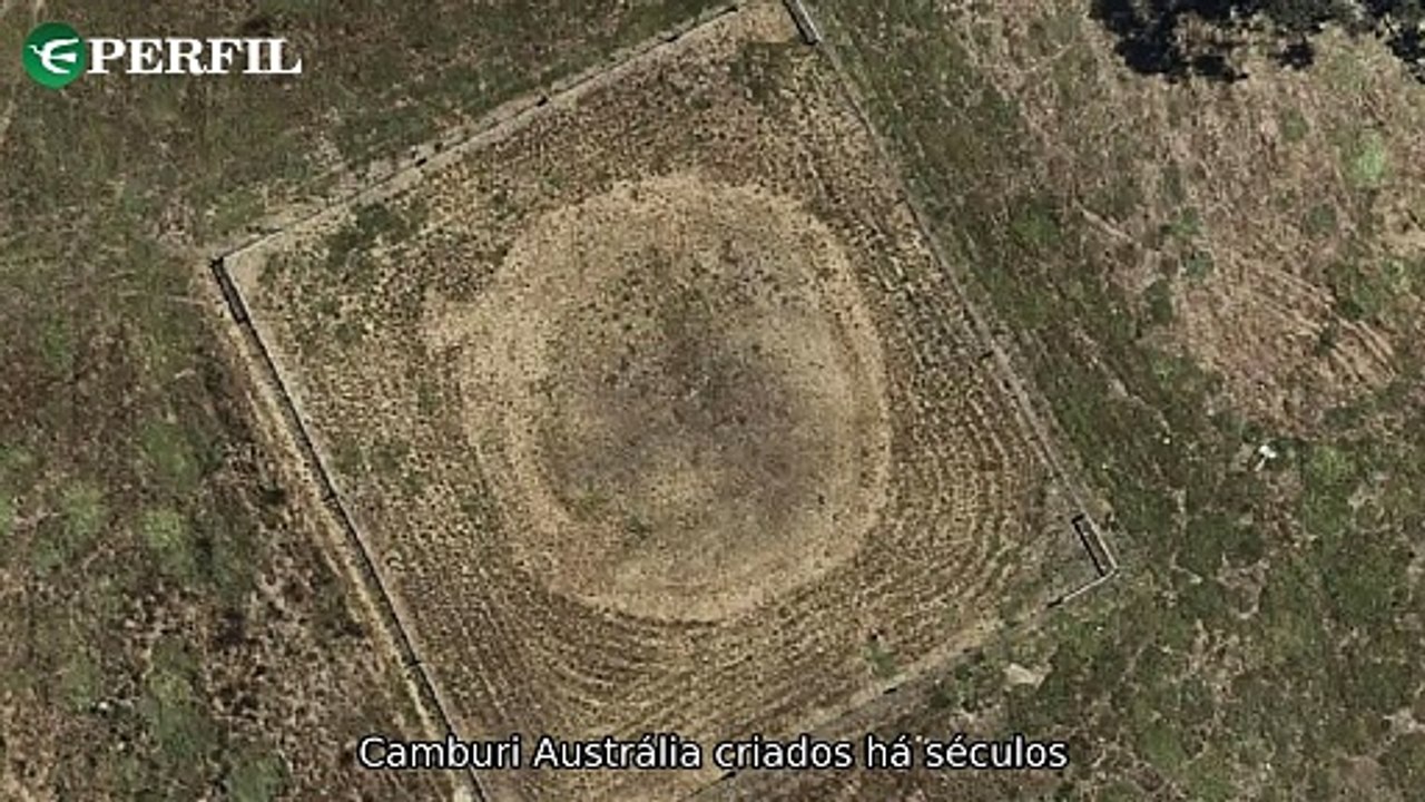 "Descobertas chocantes: mistério dos anéis de terra na Austrália, incêndio fatal na Turquia e estudo sobre chimpanzés." Um resumo envolvente das notícias mais impactantes do momento.