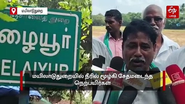 பருவம் தவறிய மழை: நீரில் மூழ்கி சேதமடைந்த நெற்பயிர்கள்.. நிவாரணம் வழங்க விவசாயிகள் கோரிக்கை!