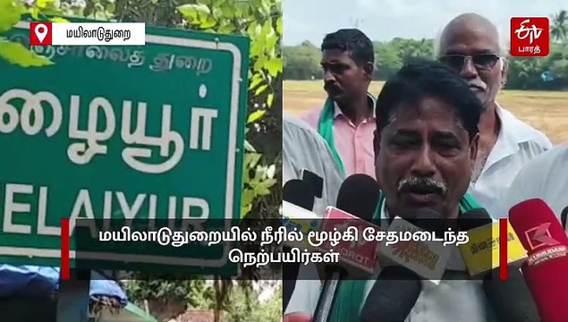 பருவம் தவறிய மழை: நீரில் மூழ்கி சேதமடைந்த நெற்பயிர்கள்.. நிவாரணம் வழங்க விவசாயிகள் கோரிக்கை!